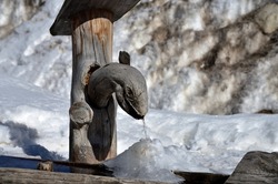 Wooden ice fountain with the head of a large snake