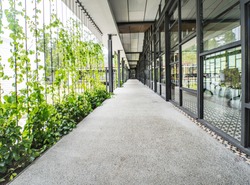 Natural Green Scenery View Modern Glass Office
