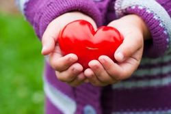 Child's hands holding a heart shaped tomato.