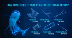 Ban plastic pollution on sea. Infographics. Period breaking plastic in water