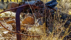 Rusted Scrap Metal on Rocky Ground Obscured by Tall Yellow Grass