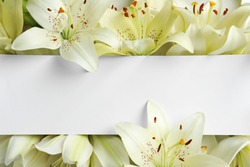 Beautiful lily flowers and blank card, top view