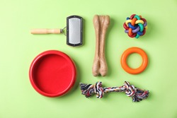 Flat lay composition with accessories for dog on color background. Pet care