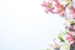 Flat lay composition with beautiful blooming lily flowers on white background