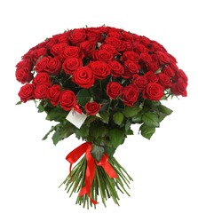 Huge bouquet of beautiful red roses on white background