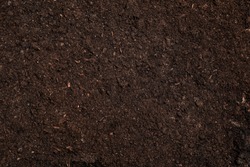 Fresh soil for gardening as background, top view