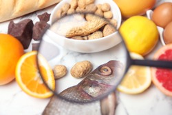 Different products with magnifier focused on fish and peanuts, closeup. Food allergy concept