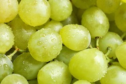 Fresh ripe juicy white grapes as background, closeup view