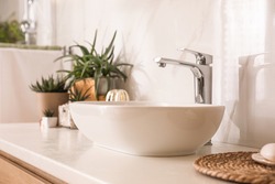 Countertop with sink and houseplants in bathroom. Interior design