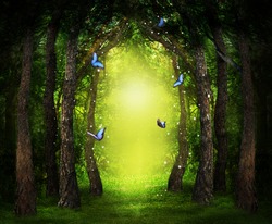 Fantasy world. Enchanted forest with magic lights, beautiful butterflies and way between trees