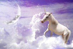Magic unicorn in fantastic sky with fluffy clouds and crescent 
