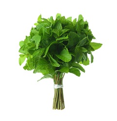 Bunch of fresh mint isolated on white