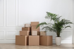 Heap of cardboard boxes and houseplant near white wall indoors. Moving day