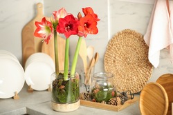 Beautiful red amaryllis flowers and tableware on counter indoors