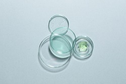 Organic cosmetic product and laboratory glassware on light background, flat lay