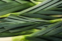 Fresh raw leeks as background, top view