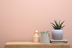 Beautiful potted plants, lamp and books on wooden table near pink wall, space for text. Interior accessories