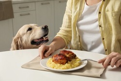Cute dog begging for food while owner eating at table, closeup