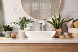 Bathroom interior with sink, beautiful green houseplants and mirror