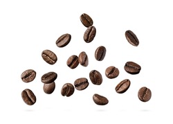 Many roasted coffee beans flying on white background