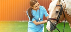 Young veterinarian with palomino horse outdoors on sunny day, space for text. Banner design
