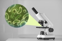 Examination of sample with germs and bacteria under microscope in laboratory