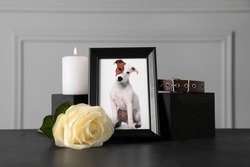 Frame with picture of dog, collar, burning candle and rose on black table. Pet funeral