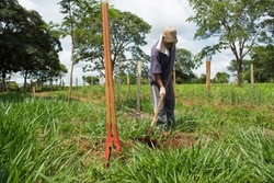 Caucasian mature man working as farmer under strong and bright sun with manual tools on a green field