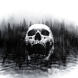 Skull in center of a dark foggy lake 
