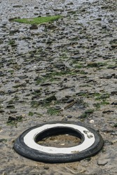 Brooklyn, New York: Discarded white wall car tire in the sand of Bottle Beach, the western shore of Dead Horse Bay.