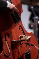 double bass close-up, double bass details. musician plays double bass on stage, close-up
