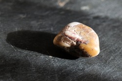 Uncut and raw yellow-brown jasper pebble, on gray slate background, lit by the sun