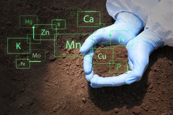 Scientist with sample of soil outdoors, closeup