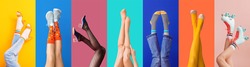 Legs of stylish young women on color background