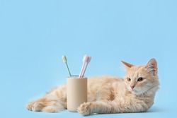 Cute cat with tooth brushes on color background