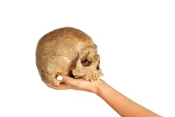 Female hand with human skull on white background