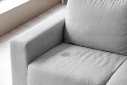 Dirty stain on grey sofa in living room