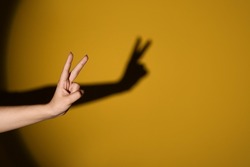 Woman performing a shadow play on color background