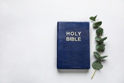 Holy Bible and eucalyptus branch on light background