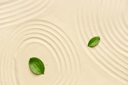 Green leaves on light sand. Zen concept