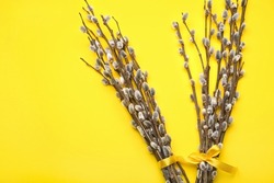 Bouquets of pussy willow branches on yellow background