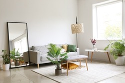 Interior of light living room with comfortable sofa, houseplants and mirror near light wall