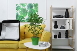 Table with houseplant, sofa and shelf unit with different equipment for photo studio near light wall