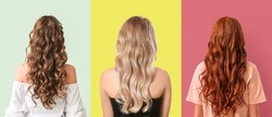 Young women with beautiful wavy hair on colorful background, back view