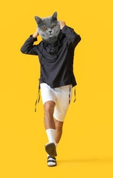 Fashionable cool cat with human body on yellow background