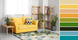 Comfortable sofa, shelf units, tables and houseplants in living room. Different color patterns  
