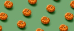 Many ripe pumpkins on green background. Pattern for design