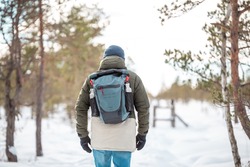 A man with a backpack walks along a nature trail in a swamp or nature park in winter. View from the back