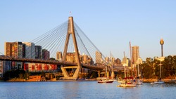 Anzac bridge over Blackwattle Bay in the evening, view form the Blackwattle Bay public park with AMP Tower in the background 