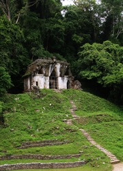 Palenque Ruins, Chiapas, Mexico 